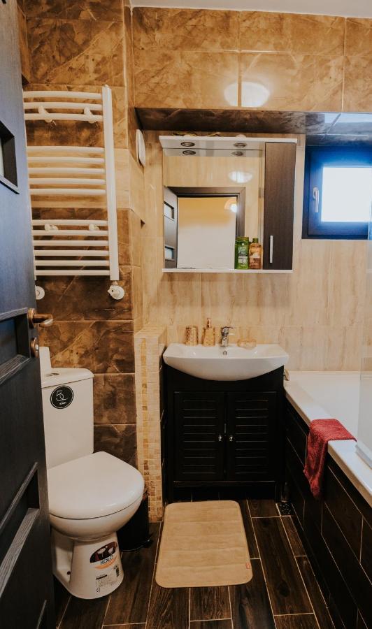 Carla'S Studio Central Palas, Airport Shuttle Iasi Exterior photo
